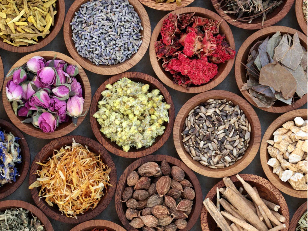 Understanding Adaptogens in Skincare: Nature’s Stress Shield
