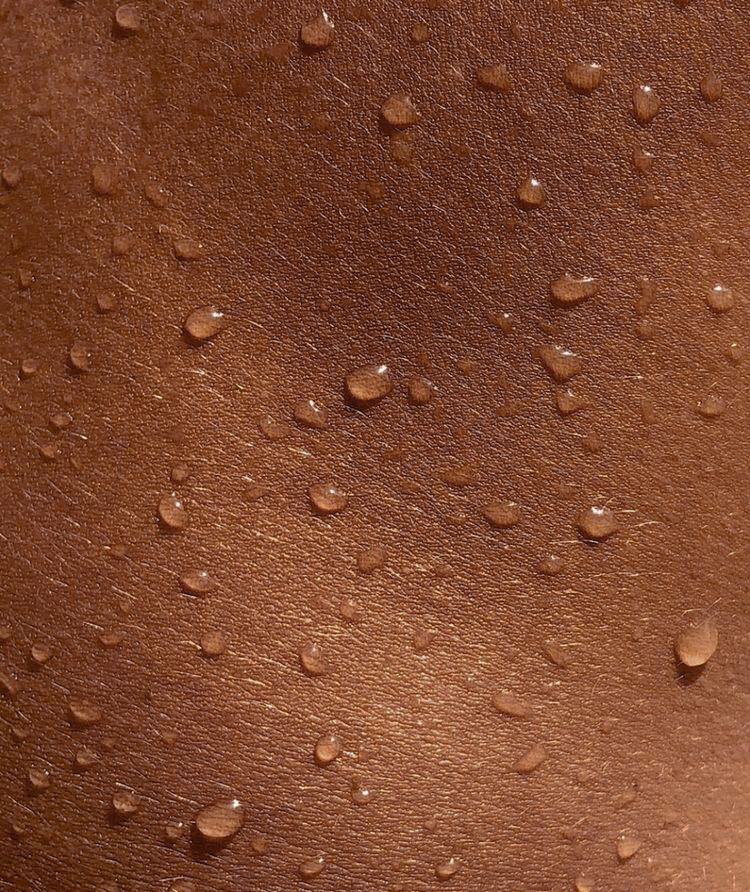 From Barrier to Glow: Why Your Skin’s Natural Shield Is the Secret to Radiance