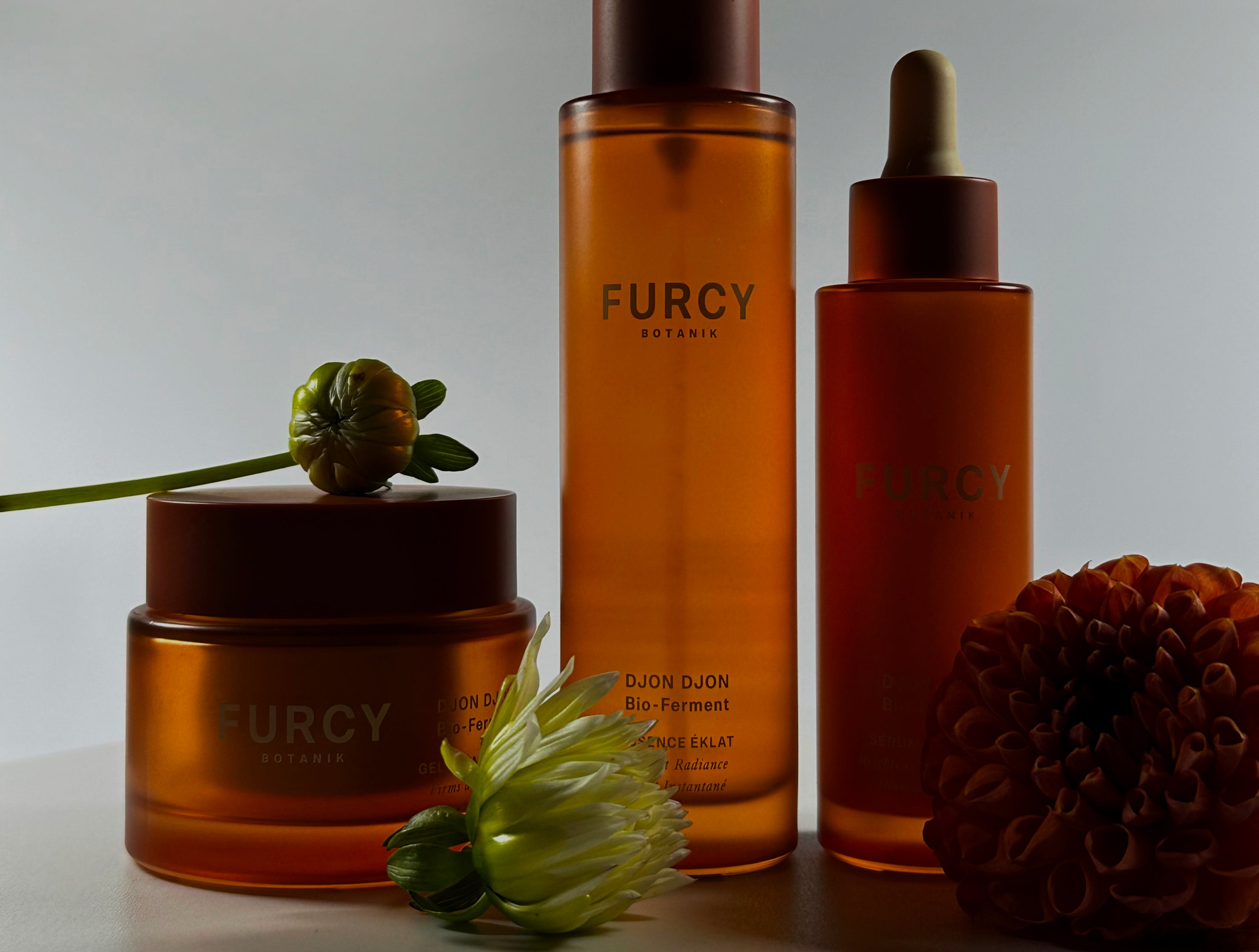FURCY BOTANIK